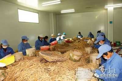 扶貧車間成就致富夢想 --文縣扶貧車間建設綜述