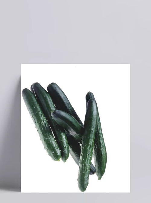 新鮮黃瓜食材 食材,食物,蔬菜,新鮮,瓜果,產(chǎn)品實(shí)物,設(shè)計(jì)元素 懨懨小生