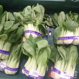 威海食藥監局解讀食用農產品入場交易法規制度