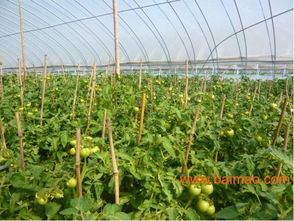 江蘇信譽好的戶外垂釣生產基地,江蘇垂釣,江蘇信譽好的戶外垂釣生產基地,江蘇垂釣生產廠家,江蘇信譽好的戶外垂釣生產基地,江蘇垂釣價格