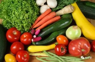 她是90后,用2年時間打造了中國最大農業(yè)體驗項目