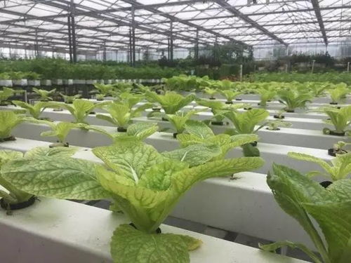 全球百項最佳科技創新獎揭曉,9項中國黑科技華麗入選