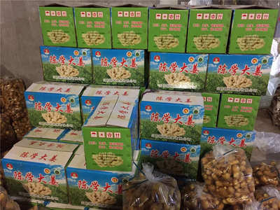 陳學(xué)大姜報價_廠家直銷實惠的大姜圖片|陳學(xué)大姜報價_廠家直銷實惠的大姜產(chǎn)品圖片由山東陳學(xué)蔬菜公司生產(chǎn)提供-