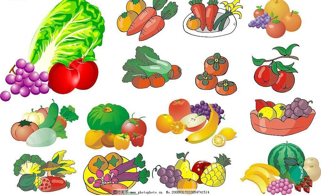 蔬菜之韻 從田園到餐桌的視覺(jué)盛宴